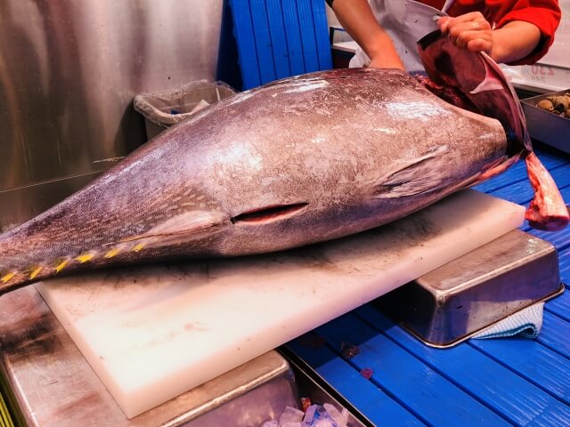 photo of tuna